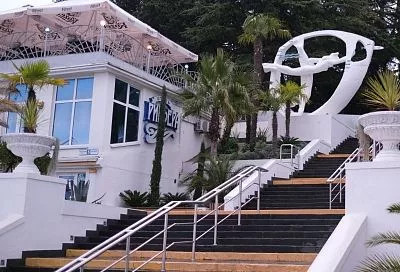 Сочи вошел в топ-3 популярных направлений для отдыха рядом с лесом