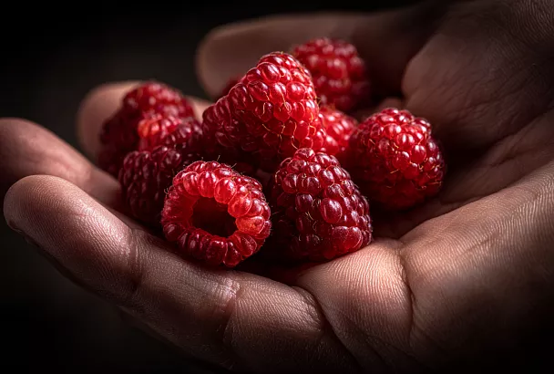 Как я собираю по 300 литров малины в сезон: советы от практика