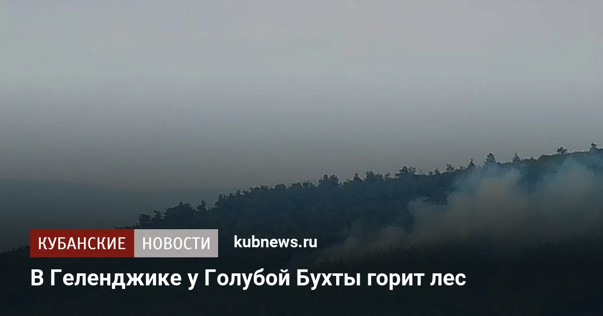 В Геленджике у Голубой Бухты горит лес