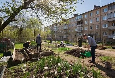 Ошибки дачников весной: как избежать проблем и сохранить урожай