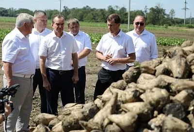 Губернатор Кубани Вениамин Кондратьев оценил ход уборки сахарной свеклы в Успенском районе