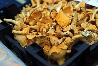 Где будут работать ярмарки выходного дня в Краснодаре 20 сентября