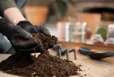 ГК «Дело» планирует увеличить перевалку удобрений на четверть в 2026 году