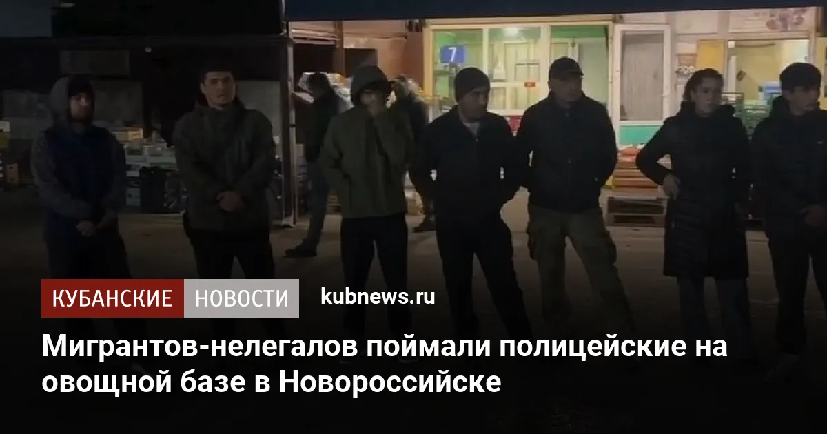 Мигрантов-нелегалов поймали полицейские на овощной базе в Новороссийске