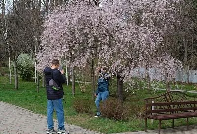 Курорт Краснодарского края возглавил топ-10 самых теплых мест России 6 апреля