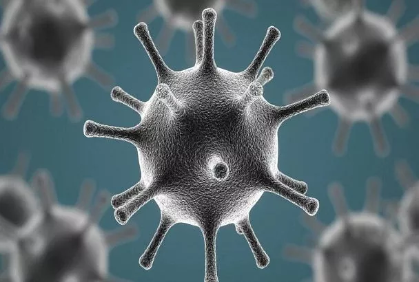 От рвоты до диареи за сутки: чем опасен норовирус второго типа и как от него защититься