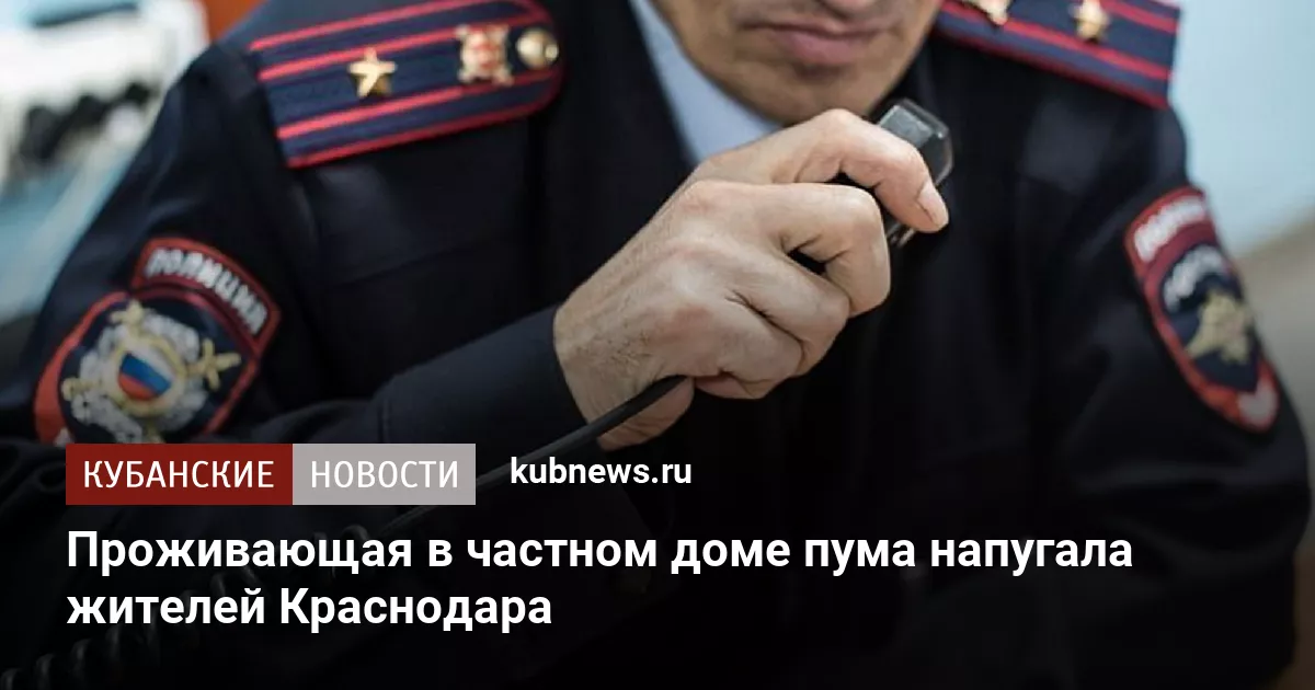 Проживающая в частном доме пума напугала жителей Краснодара