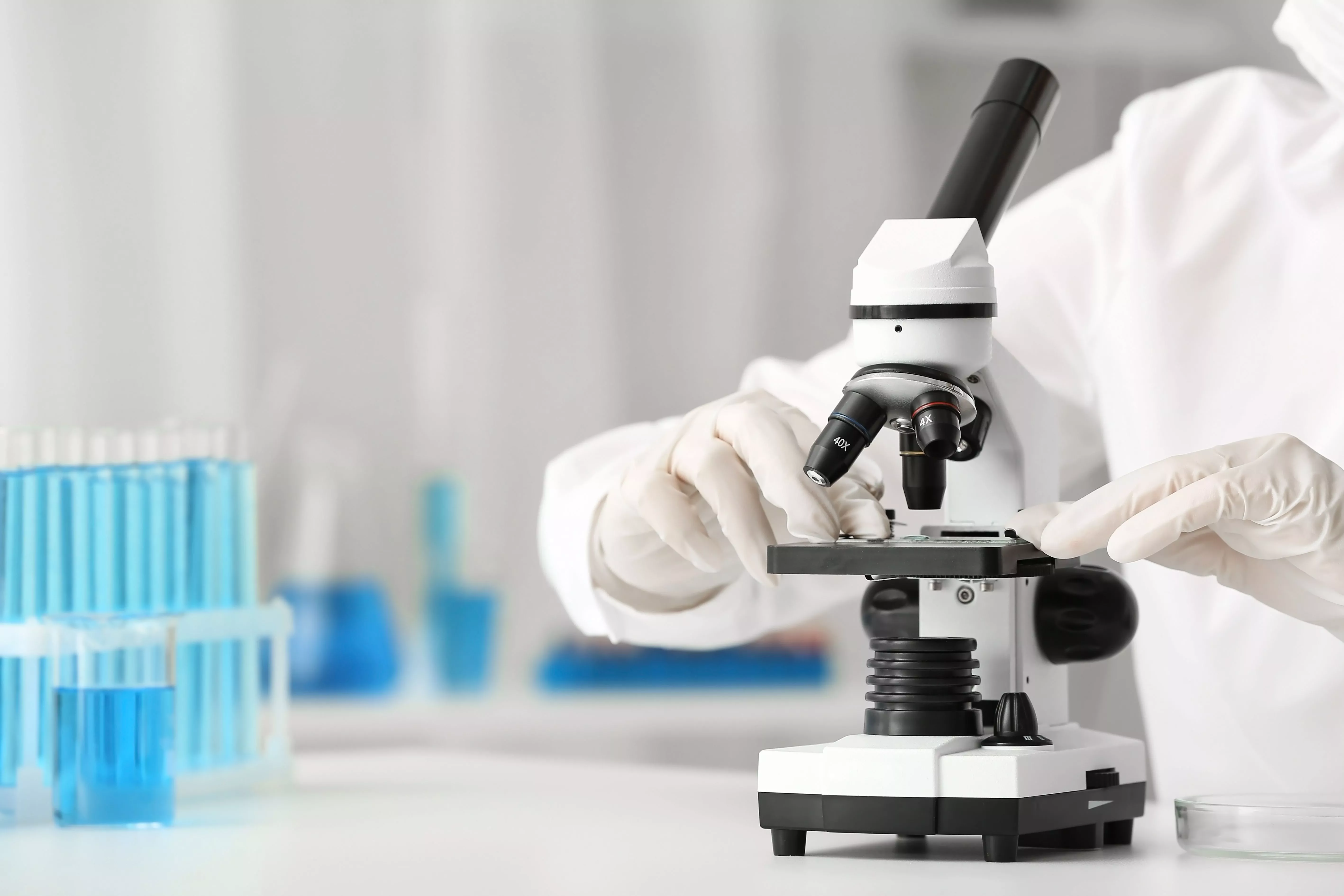 В России впервые создадут цифровую модель человеческого мозга 