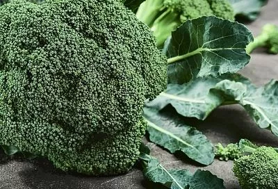 Сажаю эти семена брокколи на рассаду до 1 марта, и уже через 2 месяца собираю её нежные соцветия (на 3 недели раньше)