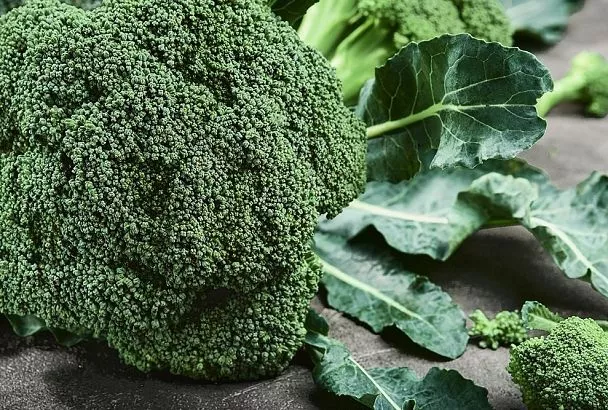 Сажаю эти семена брокколи на рассаду до 1 марта, и уже через 2 месяца собираю её нежные соцветия (на 3 недели раньше)