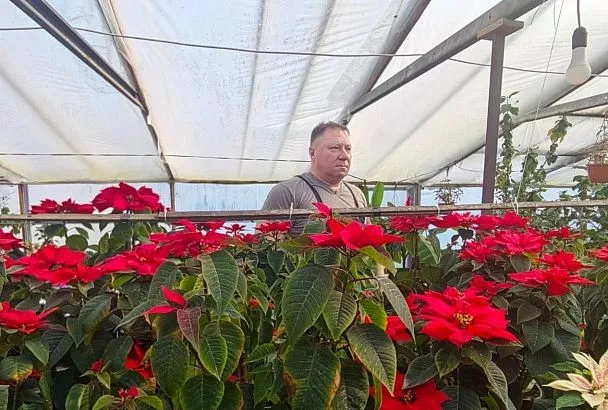 Губернатор Кубани Вениамин Кондратьев: «В 2026 году планируем заключить более 7,7 тысячи социальных контрактов»