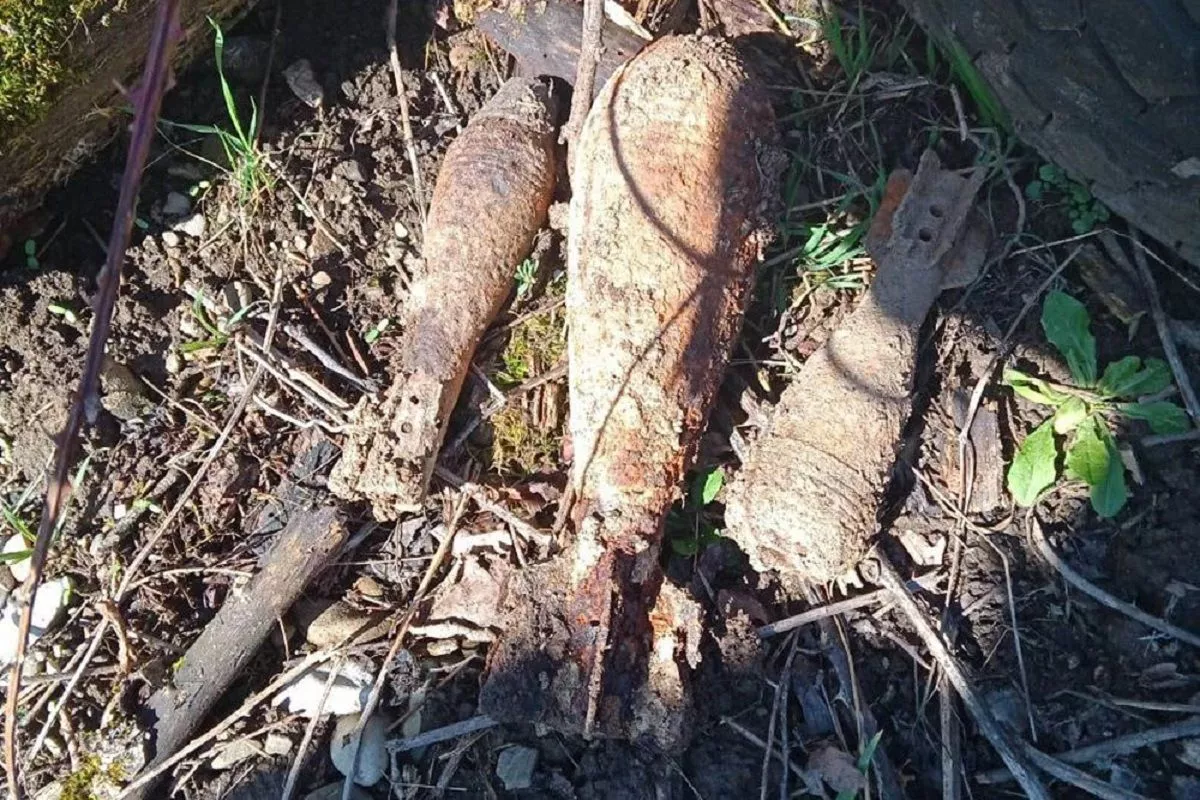 Мины времен Великой Отечественной войны уничтожили росгвардейцы на Кубани