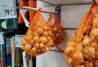 Беру лук-севок в магазине с фиксированной ценой, и всегда 100% результат: 7 шагов — и 2 лайфхака для идеального урожая