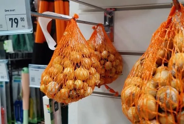 Беру лук-севок в магазине с фиксированной ценой, и всегда 100% результат: 7 шагов — и 2 лайфхака для идеального урожая