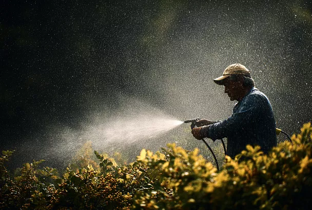 Сода и табак против вредителей: 5 народных рецептов для вашего огорода