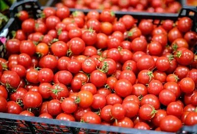 Ярмарки выходного дня в Краснодаре: где купить фермерские фрукты и овощи 25 июля