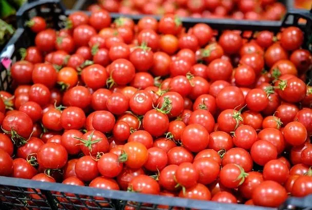 Ярмарки выходного дня в Краснодаре: где купить фермерские фрукты и овощи 25 июля