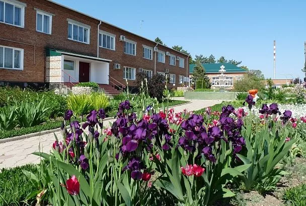 От каждого по особенностям: на Кубани появилась первая в России «Школа счастья»