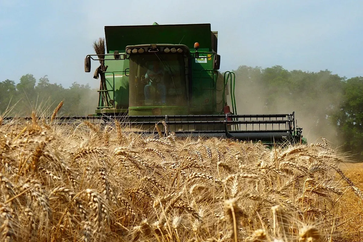 Аграрии Новокубанского района традиционно в краевых отраслевых лидерах