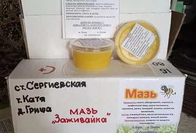  От тети Кати и дяди Гриши: незаменимая помощь для бойцов СВО