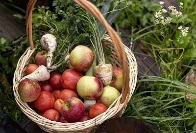 Открыл лунный календарь на 3–7 июля — выбрал дни для посадки и реально спас урожай: теперь зелени больше, чем когда-либо