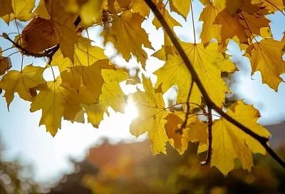 Джубга вошла в топ-10 популярных направлений для длительного отдыха в ноябре