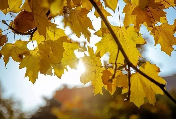 Джубга вошла в топ-10 популярных направлений для длительного отдыха в ноябре