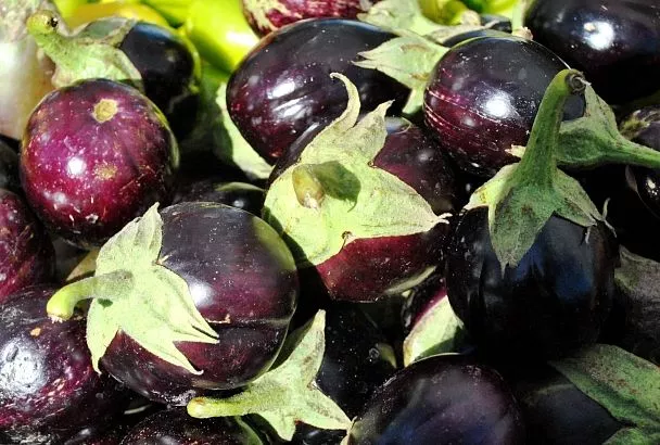 Нарезал баклажаны, обжарил, полчаса - и тащи на стол: простой рецепт по-китайски с соусом