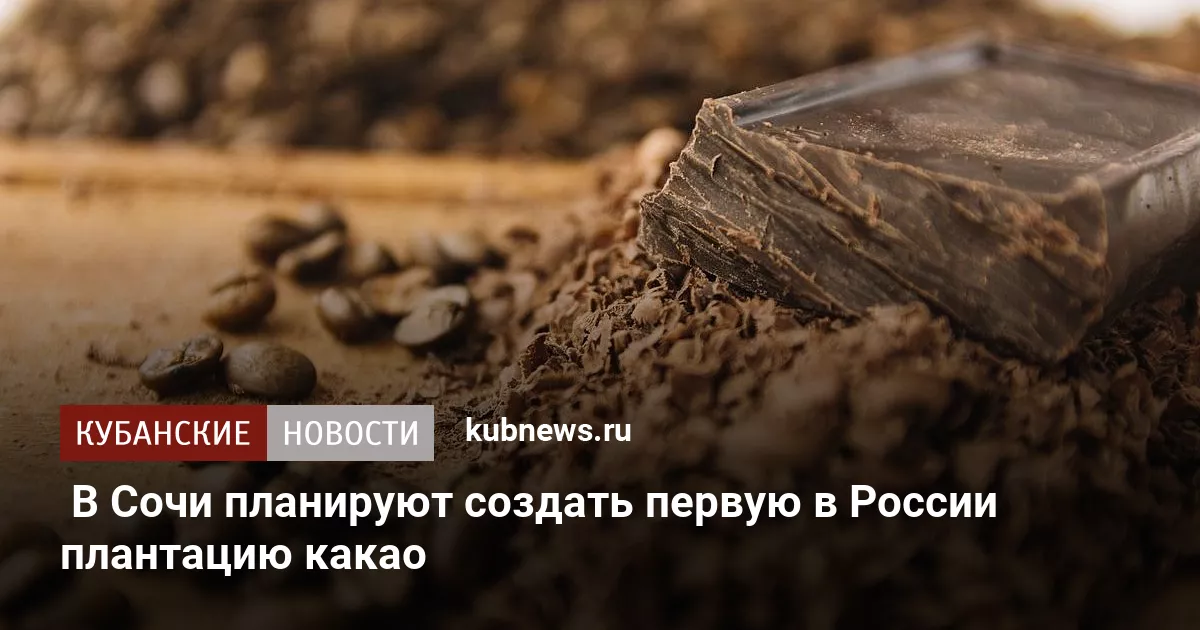 В Сочи планируют создать первую в России плантацию какао