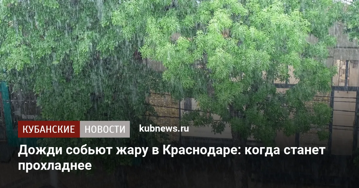 Дожди собьют жару в Краснодаре: когда станет прохладнее