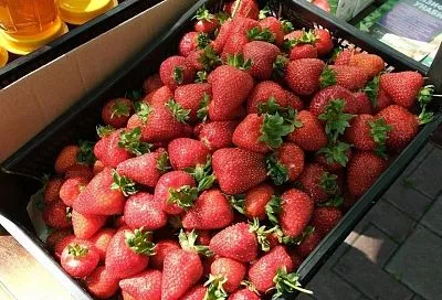 Клубника в собственном соку: лучший способ заморозки свежих ягод