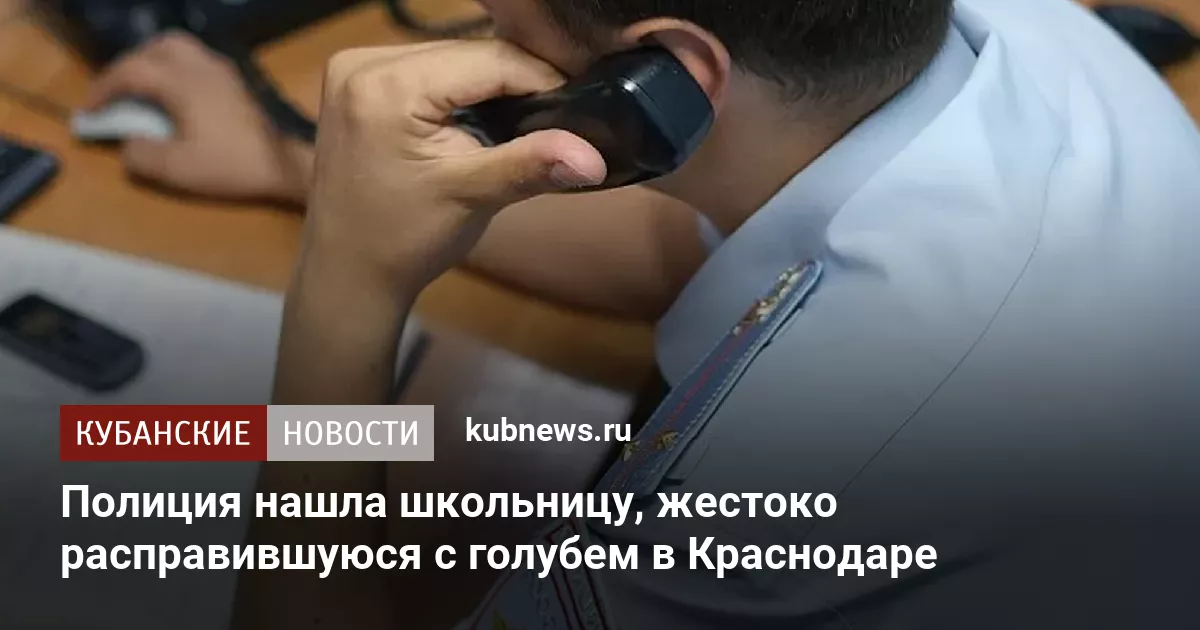 Полиция нашла школьницу, жестоко расправившуюся с голубем в Краснодаре