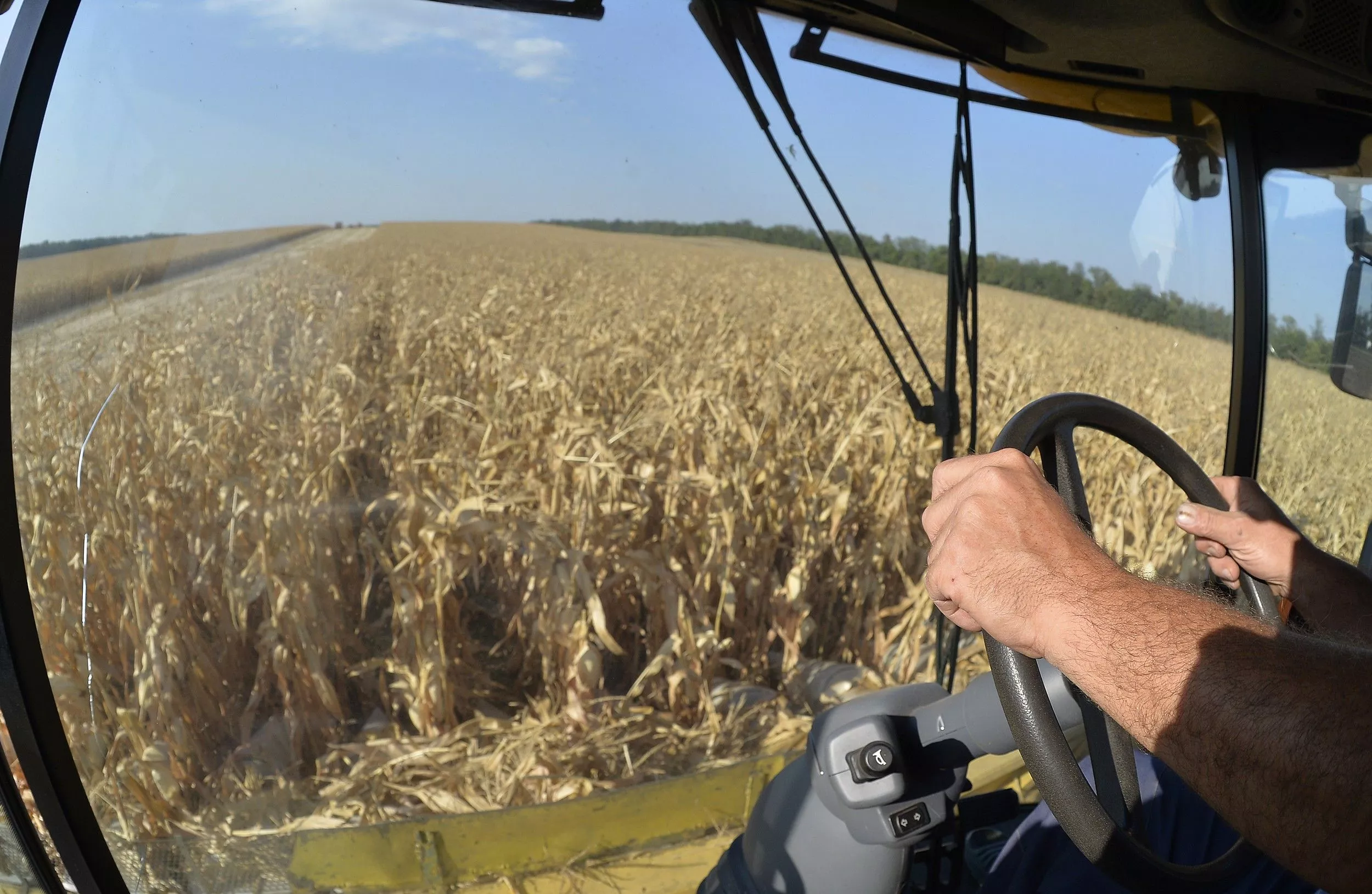 Засуха в южных регионах не повлияла на урожайность 
