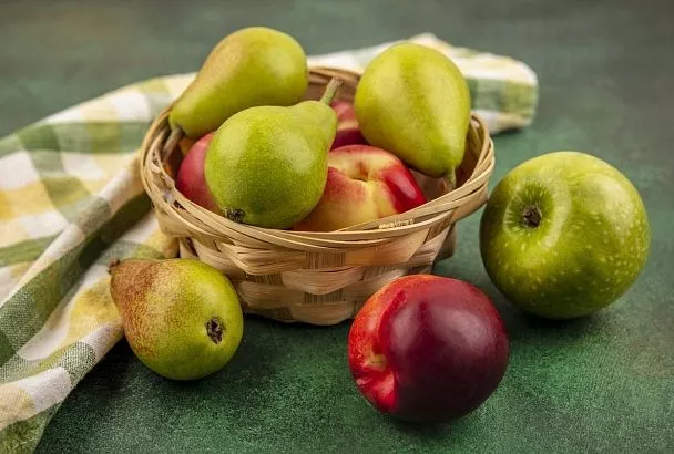 Россельхознадзор предложил ограничить ввоз яблок и груш из-за роста урожая в России