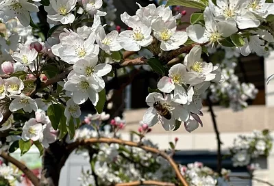 Самый теплый день с начала года: до +24 градусов прогреется воздух на Кубани