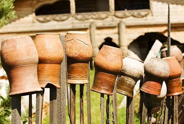 Заменил капельный полив на простые кувшины — и урожай в 2 раза больше! Как дедовский метод спасает мой огород в аномальную жару 2025