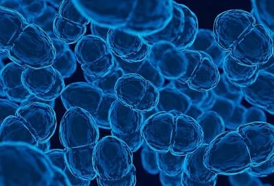Живой термометр внутри клетки: учёные создали наноточки, которые замеряют температуру в режиме реального времени