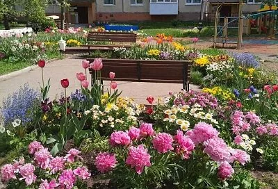 Бабушкин сад под окном — под запретом? За что накажут жильцов с 10 марта