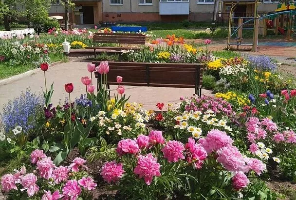 Бабушкин сад под окном — под запретом? За что накажут жильцов с 10 марта