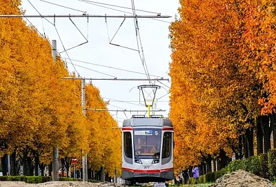 Трамваи двух маршрутов в Краснодаре украсили редкими историческими фотографиями