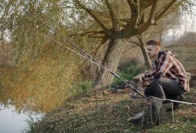 Нужен мотыль для рыбалки? Просто собери его этим дармовым способом: хватит себе и другим не жалко