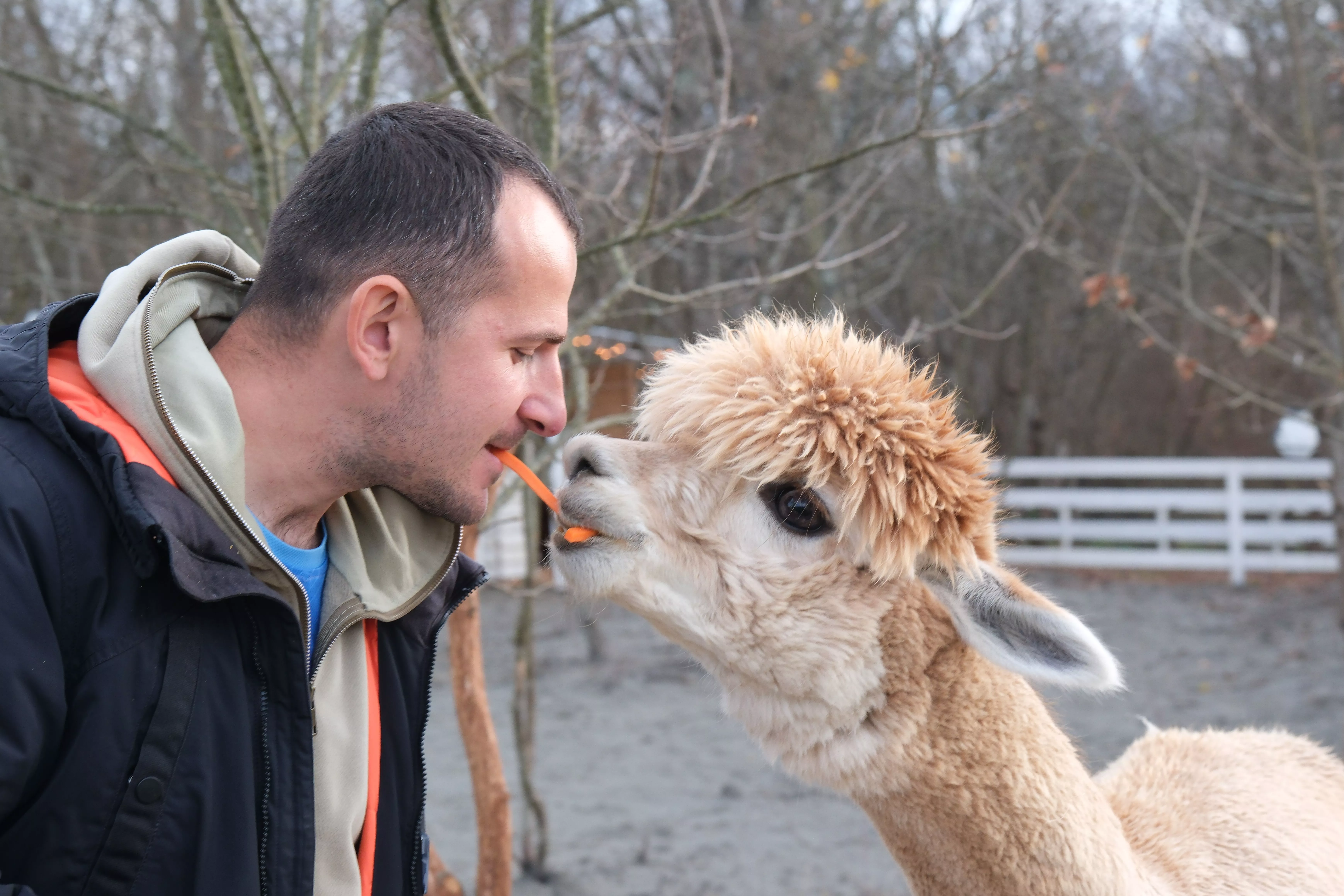 Крокодилы, сурикаты и зеленый попугай: где в Краснодарском крае туристам посмотреть на экзотических зверей и птиц