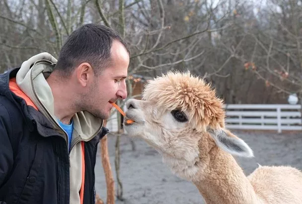 Крокодилы, сурикаты и зеленый попугай: где в Краснодарском крае туристам посмотреть на экзотических зверей и птиц