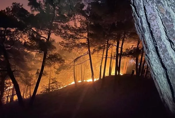 Гектар леса горит под Геледжиком