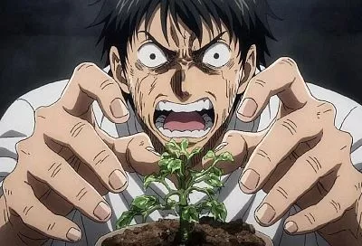 Пять верных способов загубить комнатное растение: как своими руками совершить ботаническую катастрофу