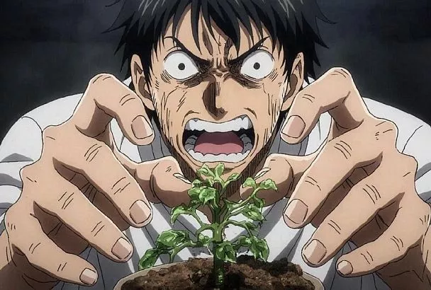 Пять верных способов загубить комнатное растение: как своими руками совершить ботаническую катастрофу