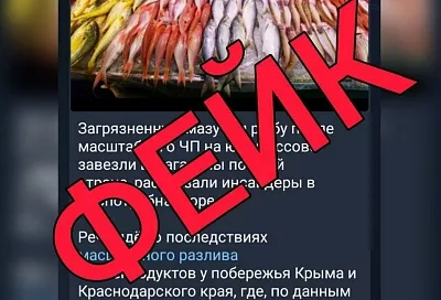 Власти Краснодарского края опровергли фейк о появлении загрязненной мазутом рыбы в российских магазинах