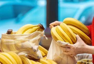 В России планируют выращивать бананы