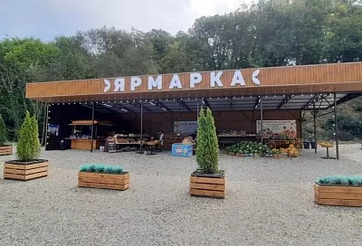 Оборот предприятий потребительской сферы Краснодарского края вырос на 10 процентов