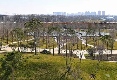 Еще несколько прогулочных аллей открыли в новой локации парка Галицкого в Краснодаре